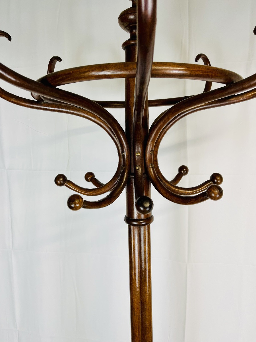 Parrot Coat Rack -photo-1